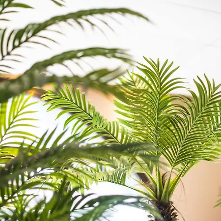 Le Rioumajou 2 - Grand T4 - Piscine - Centre St Lary *