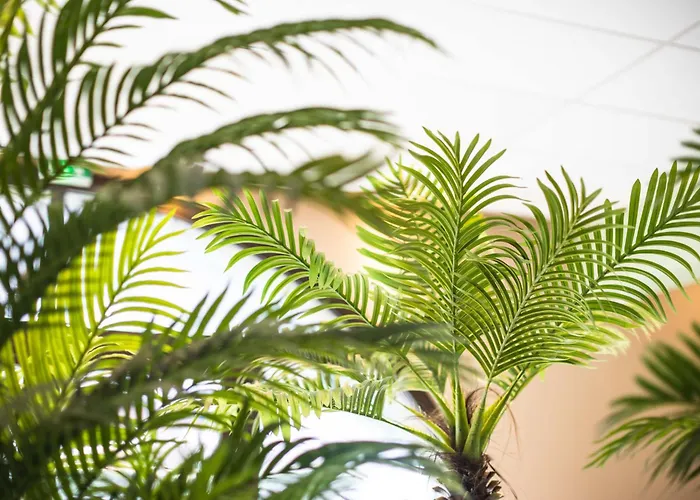 Le Rioumajou 2 - Grand T4 - Piscine - Centre St Lary *