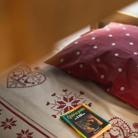 公寓 Le Rioumajou 2 - Grand T4 - Piscine - Centre St Lary *